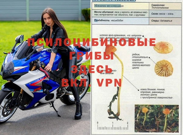 прущий лед Абинск